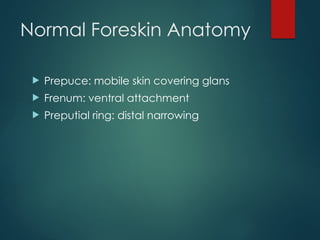 PhimosisParaphimosisTopicalPresentation.pptx