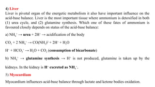 4) Liver
Liver is pivotal organ of the energetic metabolism it also have important influence on the
acid-base balance. Liver is the most important tissue where ammonium is detoxified in both
(1) urea cycle, and (2) glutamine synthesis. Which one of these fates of ammonium is
favoured closely depends on status of the acid-base balance:
a) NH4
+
→ urea + 2H+
→ acidification of the body
CO2 + 2 NH4
+
→ CO(NH2)2
+ 2H+
+ H2O
H+
+ HCO3
+
→ H2O + CO2 (consumption of bicarbonate)
b) NH4
+
→ glutamine synthesis → H+
is not produced, glutamine is taken up by the
kidneys. In the kidney is H+
excreted as NH4
+
.
5) Myocardium
Myocardium influences acid-base balance through lactate and ketone bodies oxidation.
 