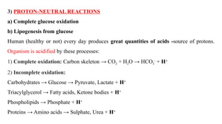 3) PROTON-NEUTRAL REACTIONS
a) Complete glucose oxidation
b) Lipogenesis from glucose
Human (healthy or not) every day produces great quantities of acids -source of protons.
Organism is acidified by these processes:
1) Complete oxidation: Carbon skeleton → CO2 + H2O → HCO3
-
+ H+
2) Incomplete oxidation:
Carbohydrates → Glucose → Pyruvate, Lactate + H+
Triacylglycerol → Fatty acids, Ketone bodies + H+
Phospholipids → Phosphate + H+
Proteins → Amino acids → Sulphate, Urea + H+
 