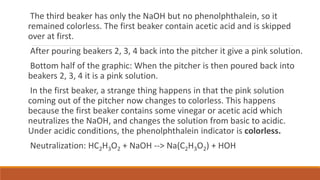 The third beaker has only the NaOH but no phenolphthalein, so it
remained colorless. The first beaker contain acetic acid and is skipped
over at first.
After pouring beakers 2, 3, 4 back into the pitcher it give a pink solution.
Bottom half of the graphic: When the pitcher is then poured back into
beakers 2, 3, 4 it is a pink solution.
In the first beaker, a strange thing happens in that the pink solution
coming out of the pitcher now changes to colorless. This happens
because the first beaker contains some vinegar or acetic acid which
neutralizes the NaOH, and changes the solution from basic to acidic.
Under acidic conditions, the phenolphthalein indicator is colorless.
Neutralization: HC2H3O2 + NaOH --> Na(C2H3O2) + HOH
 