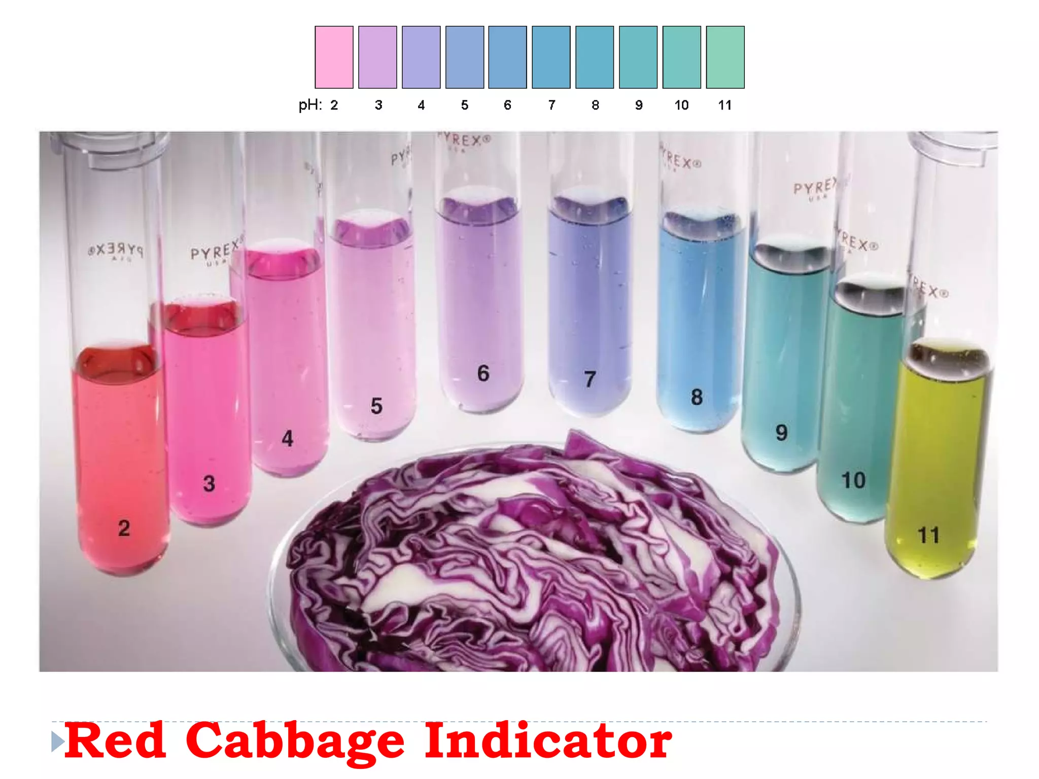Red Cabbage Indicator 