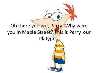 phineas and ferb perry meme