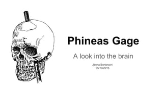 Phineas Gage
A look into the brain
Jenna Bertoncini
05/19/2015
 