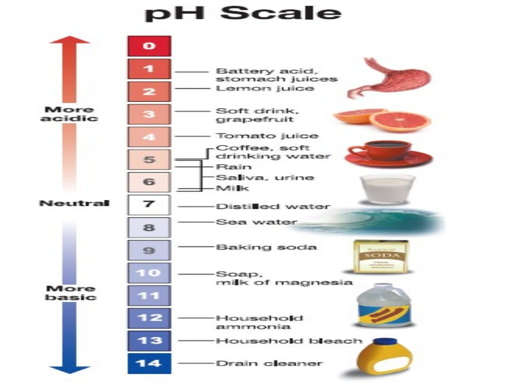 PH in human body
