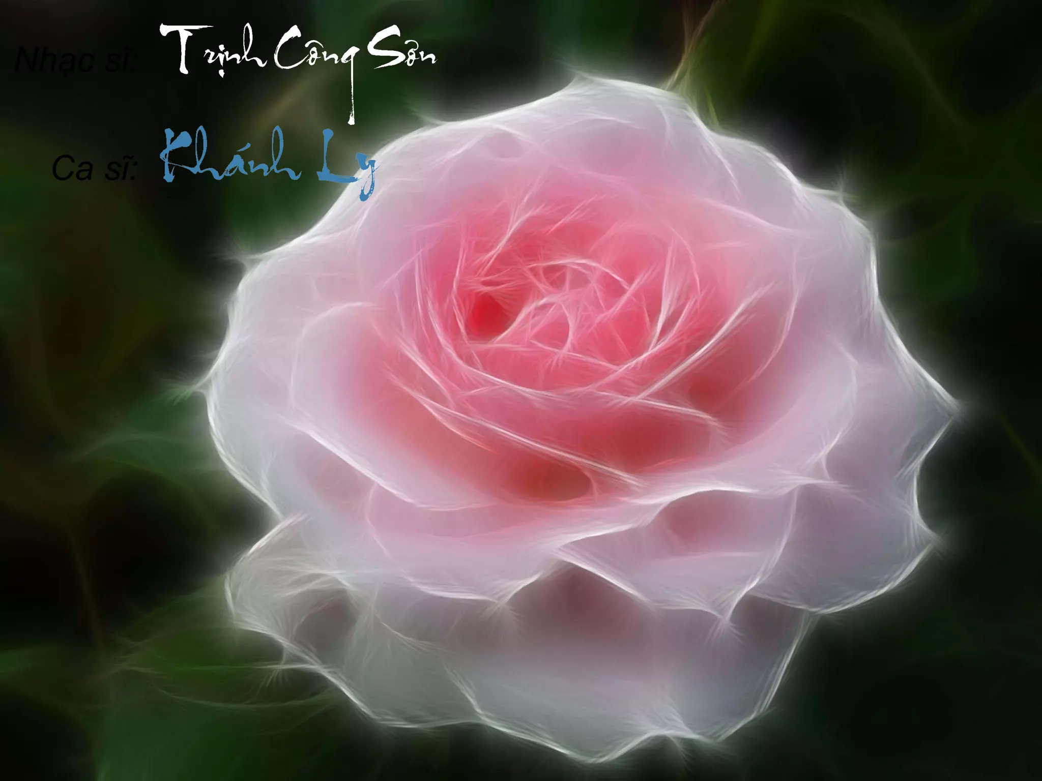 Nhạc sĩ:


  Ca sĩ:
 