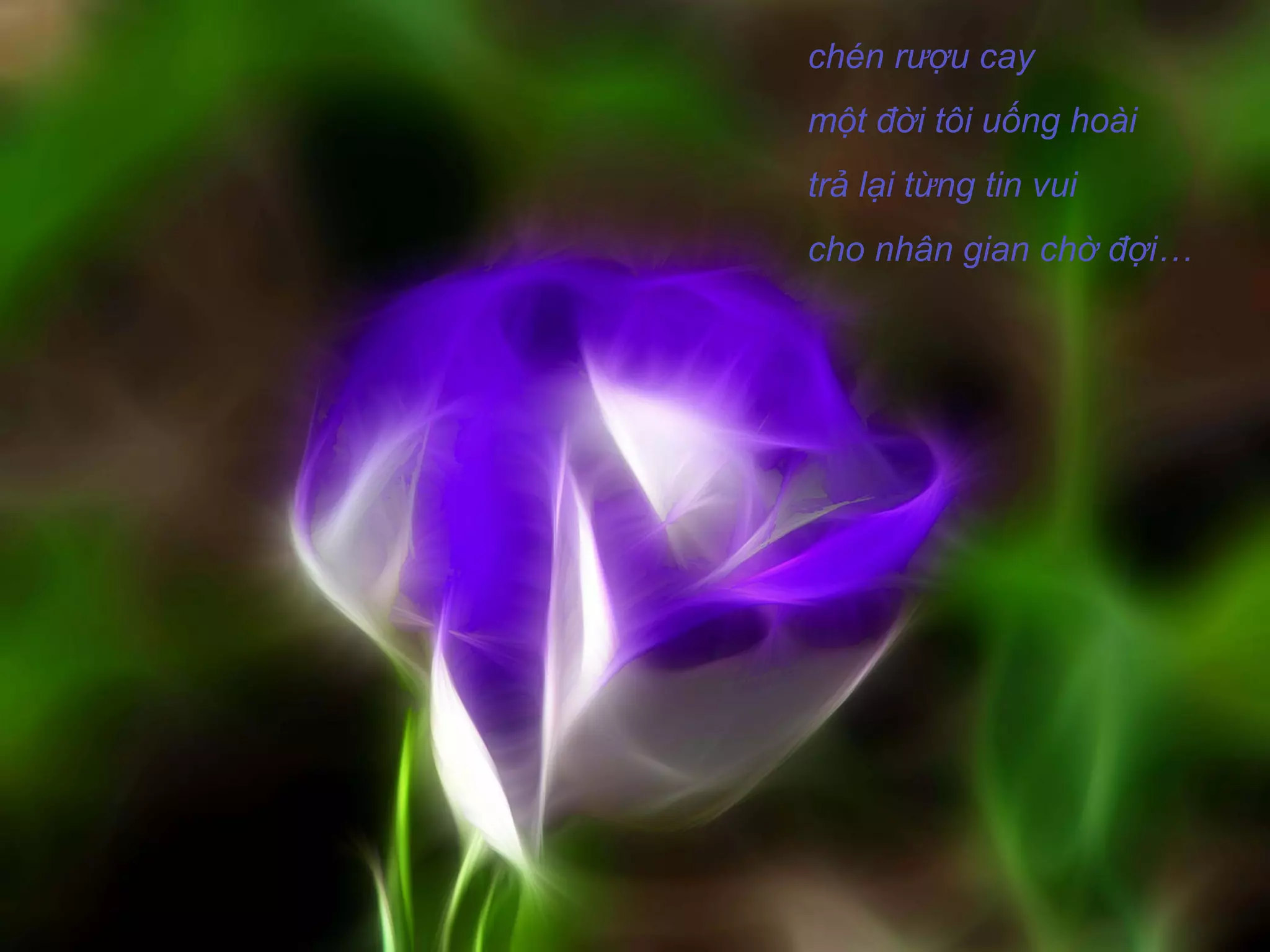 chén rượu cay
một đời tôi uống hoài
trả lại từng tin vui
cho nhân gian chờ đợi…
 