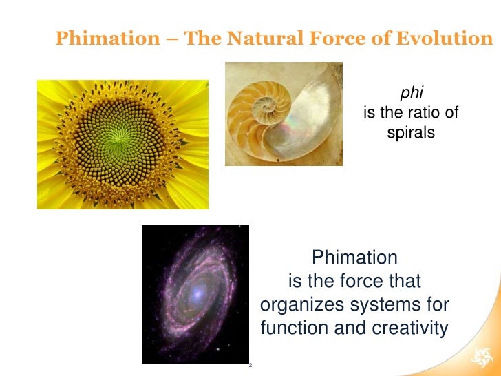 download A basis in the space of solutions of a convolution