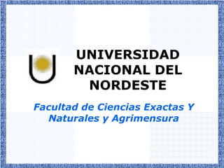 UNIVERSIDAD
       NACIONAL DEL
        NORDESTE
Facultad de Ciencias Exactas Y
  Naturales y Agrimensura
 