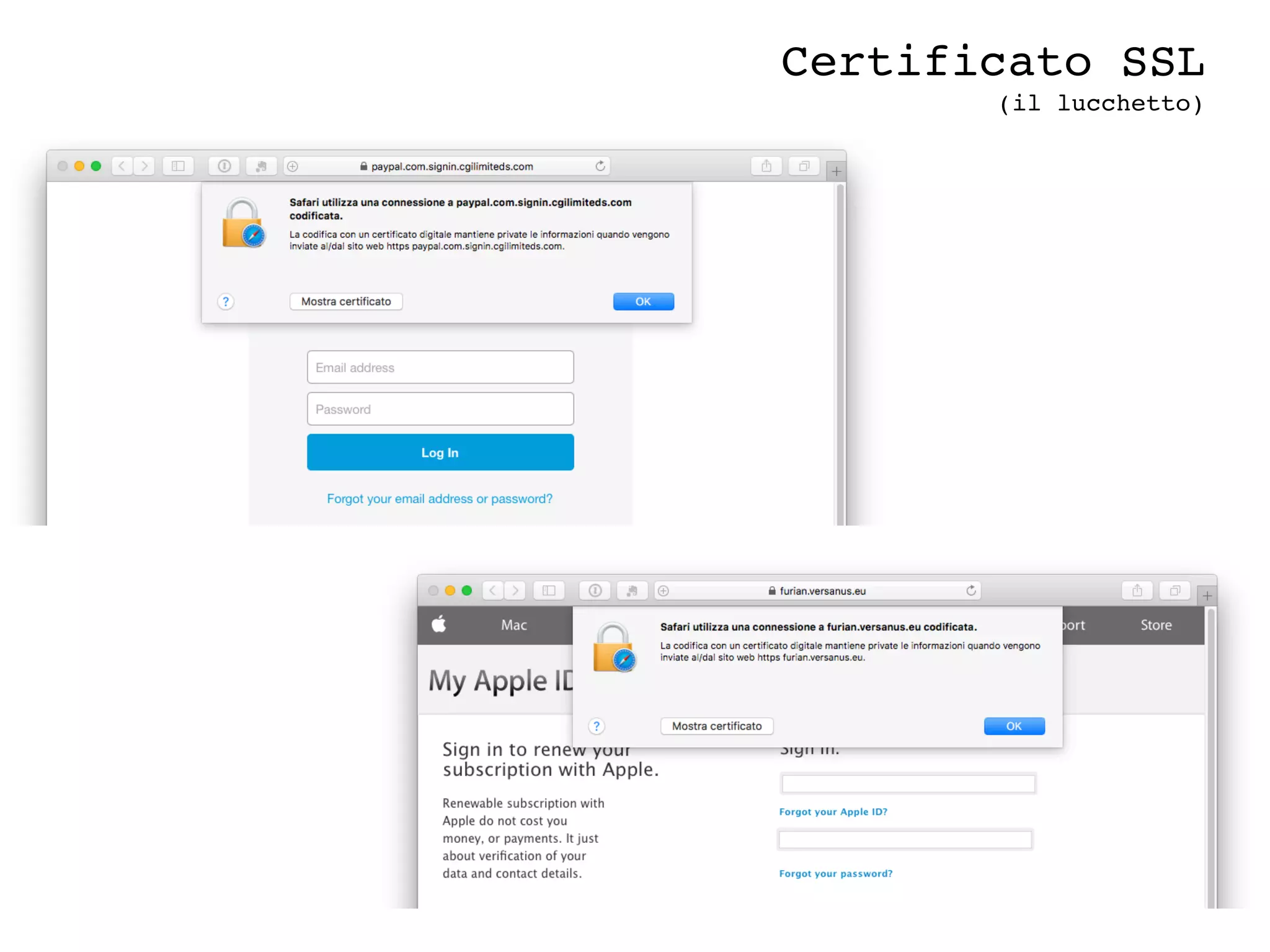 Certificato SSL
(il lucchetto)
 