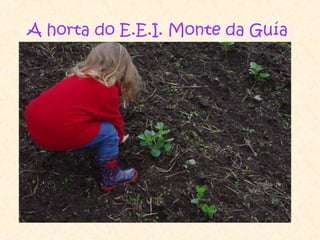 A horta do E.E.I. Monte da Guía
 