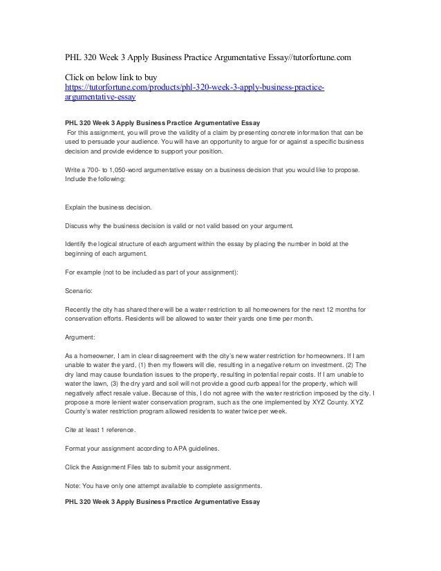 Business practice argumentative essay image