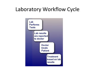 Laboratory Workflow Cycle
 