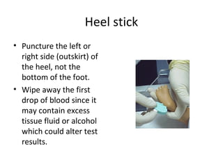 Heel stick
• Puncture the left or
right side (outskirt) of
the heel, not the
bottom of the foot.
• Wipe away the first
drop of blood since it
may contain excess
tissue fluid or alcohol
which could alter test
results.
 