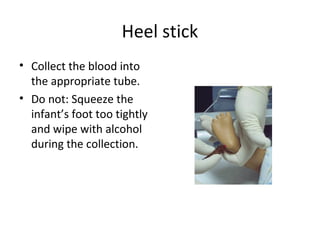 Heel stick
• Collect the blood into
the appropriate tube.
• Do not: Squeeze the
infant’s foot too tightly
and wipe with alcohol
during the collection.
 