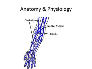 Anatomy & Physiology
 