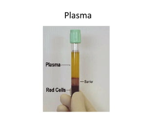 Plasma
 