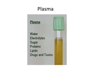 Plasma
 