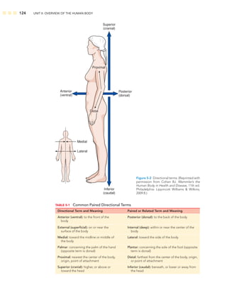 124 UNIT II: OVERVIEW OF THE HUMAN BODY
TABLE 5-1 Common Paired Directional Terms
Directional Term and Meaning Paired or Related Term and Meaning
Anterior (ventral): to the front of the
body
Posterior (dorsal): to the back of the body
External (superﬁcial): on or near the
surface of the body
Internal (deep): within or near the center of the
body
Medial: toward the midline or middle of
the body
Lateral: toward the side of the body
Palmar: concerning the palm of the hand
(opposite term is dorsal)
Plantar: concerning the sole of the foot (opposite
term is dorsal)
Proximal: nearest the center of the body,
origin, point of attachment
Distal: farthest from the center of the body, origin,
or point of attachment
Superior (cranial): higher, or above or
toward the head
Inferior (caudal): beneath, or lower or away from
the head
Anterior
(ventral)
Posterior
(dorsal)
Superior
(cranial)
Proximal
Inferior
(caudal)
Distal
Lateral
Medial
Figure 5-2 Directional terms. (Reprinted with
permission from Cohen BJ. Memmler’s the
Human Body in Health and Disease, 11th ed.
Philadelphia: Lippincott Williams  Wilkins;
2009:8.)
 