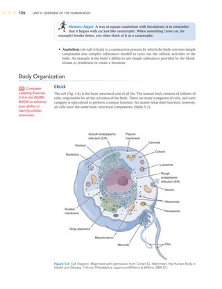 126 UNIT II: OVERVIEW OF THE HUMAN BODY
Memory Jogger A way to equate catabolism with breakdown is to remember
that it begins with cat just like catastrophe. When something (your car, for
example) breaks down, you often think of it as a catastrophe.
• Anabolism (ah-nab’o-lizm) is a constructive process by which the body converts simple
compounds into complex substances needed to carry out the cellular activities of the
body. An example is the body’s ability to use simple substances provided by the blood-
stream to synthesize or create a hormone.
Body Organization
CELLS
The cell (Fig. 5-4) is the basic structural unit of all life. The human body consists of trillions of
cells, responsible for all the activities of the body. There are many categories of cells, and each
category is specialized to perform a unique function. No matter what their function, however,
all cells have the same basic structural components (Table 5-2).
Complete
Labeling Exercise
5-4 in the WORK-
BOOK to enhance
your ability to
identify cellular
structures.
Centriole
Golgi apparatus
Nucleolus
Nuclear
membrane
Rough
endoplasmic
reticulum (ER)
Cytosol
Microvilli Cilia
Lysosome
Mitochondrion
Peroxisome
Ribosomes
Vesicle
Nucleus
Smooth endoplasmic
reticulum (ER)
Plasma
membrane
Figure 5-4 Cell diagram. (Reprinted with permission from Cohen BJ. Memmler’s the Human Body in
Health and Disease, 11th ed. Philadelphia: Lippincott Williams  Wilkins; 2009:37.)
 