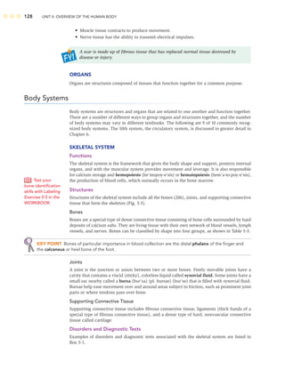 128 UNIT II: OVERVIEW OF THE HUMAN BODY
• Muscle tissue contracts to produce movement.
• Nerve tissue has the ability to transmit electrical impulses.
A scar is made up of ﬁbrous tissue that has replaced normal tissue destroyed by
disease or injury.
ORGANS
Organs are structures composed of tissues that function together for a common purpose.
Body Systems
Body systems are structures and organs that are related to one another and function together.
There are a number of different ways to group organs and structures together, and the number
of body systems may vary in different textbooks. The following are 9 of 10 commonly recog-
nized body systems. The 10th system, the circulatory system, is discussed in greater detail in
Chapter 6.
SKELETAL SYSTEM
Functions
The skeletal system is the framework that gives the body shape and support, protects internal
organs, and with the muscular system provides movement and leverage. It is also responsible
for calcium storage and hemopoiesis (he’mopoy-e’sis) or hematopoiesis (hem’a-to-poy-e’sis),
the production of blood cells, which normally occurs in the bone marrow.
Structures
Structures of the skeletal system include all the bones (206), joints, and supporting connective
tissue that form the skeleton (Fig. 5-5).
Bones
Bones are a special type of dense connective tissue consisting of bone cells surrounded by hard
deposits of calcium salts. They are living tissue with their own network of blood vessels, lymph
vessels, and nerves. Bones can be classiﬁed by shape into four groups, as shown in Table 5-3.
KEY POINT Bones of particular importance in blood collection are the distal phalanx of the ﬁnger and
the calcaneus or heel bone of the foot.
Joints
A joint is the junction or union between two or more bones. Freely movable joints have a
cavity that contains a viscid (sticky), colorless liquid called synovial ﬂuid. Some joints have a
small sac nearby called a bursa (bur’sa) (pl. bursae) (bur’se) that is ﬁlled with synovial ﬂuid.
Bursae help ease movement over and around areas subject to friction, such as prominent joint
parts or where tendons pass over bone.
Supporting Connective Tissue
Supporting connective tissue includes ﬁbrous connective tissue, ligaments (thick bands of a
special type of ﬁbrous connective tissue), and a dense type of hard, nonvascular connective
tissue called cartilage.
Disorders and Diagnostic Tests
Examples of disorders and diagnostic tests associated with the skeletal system are listed in
Box 5-1.
Test your
bone identiﬁcation
skills with Labeling
Exercise 5-5 in the
WORKBOOK.
 