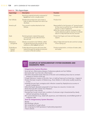 134 UNIT II: OVERVIEW OF THE HUMAN BODY
TABLE 5-5 Skin Appendages
Appendage Description Function
Hair Nonliving material primarily composed of
keratin (ker’a-tin), a tough protein
Protection
Hair follicles Sheaths that enclose hair and contain a
bulb of cells at the base from which hair
develops
Produce hair
Arrector pili Tiny, smooth muscles attached to hair
follicles
Responsible for the formation of “goose bumps”
as they react to pull the hair up straight when a
person is cold or frightened
When the muscle contracts, it presses on the
nearby sebaceous gland, causing it to release
sebum to help lubricate the hair and skin
Nails Nonliving keratin material that grows
continuously as new cells form from
the nail root
Protect the ﬁngers and toes and help grasp
objects
Sebaceous
(oil) glands
Glands connected to hair follicles; called
oil glands because they secrete an oily
substance called sebum (se’bum)
Sebum helps lubricate the skin and hair to keep
it from drying out
Sudoriferous
(sweat)
glands
Coiled dermal structures with ducts that
extend through the epidermis and end
in a pore on the skin surface
Produce perspiration, a mixture of water, salts,
and waste
BOX
5-3
EXAMPLES OF INTEGUMENTARY SYSTEM DISORDERS AND
DIAGNOSTIC TESTS
Integumentary System Disorders
Acne (ak’ne): inﬂammatory disease of sebaceous glands and hair follicles
Dermatitis (der”ma-ti’tis): skin inﬂammation
Decubitis ulcers (bed sores): Necrosis of the skin and underlying tissue due to constant
pressure or friction at the site
Fungal infections: invasion of the skin, hair, or nails by fungi such as tinea (e.g., ringworm)
Herpes (her’pez): eruption of blisters (e.g., fever blisters or cold sores) usually caused by
a virus
Impetigo (im-pe-ti’go): contagious skin infection caused by Staphylococcus aureus or
group A streptococci
Keloid (ke’loyd): elevated overgrowth of scar tissue at a wound or incision site
Pediculosis (pe-dik”u-lo’sis): lice infestation
Pruritus (proo-ri’tus): itching
Psoriasis (so-ri’a-sis): chronic skin condition of unknown origin characterized by clearly
deﬁned red patches of scaly skin
Skin cancer (kan’ser): (e.g., basal cell, squamous, and melanoma); uncontrolled growth of
malignant cells
Tests for Integumentary System Disorders
Biopsy
Microbiology cultures
Skin scrapings for fungal culture
Skin scrapings for KOH (potassium hydroxide) preparation
Tissue cultures
 