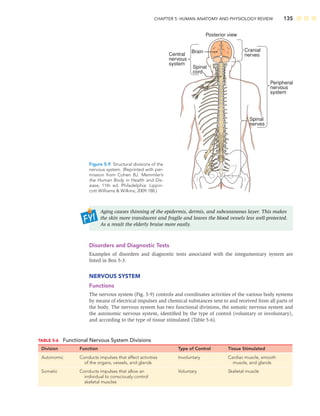 CHAPTER 5: HUMAN ANATOMY AND PHYSIOLOGY REVIEW 135
Posterior view
Central
nervous
system
Spinal
cord
Brain
Spinal
nerves
Peripheral
nervous
system
Cranial
nerves
Figure 5-9 Structural divisions of the
nervous system. (Reprinted with per-
mission from Cohen BJ. Memmler’s
the Human Body in Health and Dis-
ease, 11th ed. Philadelphia: Lippin-
cott Williams  Wilkins; 2009:188.)
TABLE 5-6 Functional Nervous System Divisions
Division Function Type of Control Tissue Stimulated
Autonomic Conducts impulses that affect activities
of the organs, vessels, and glands
Involuntary Cardiac muscle, smooth
muscle, and glands
Somatic Conducts impulses that allow an
individual to consciously control
skeletal muscles
Voluntary Skeletal muscle
Aging causes thinning of the epidermis, dermis, and subcutaneous layer. This makes
the skin more translucent and fragile and leaves the blood vessels less well-protected.
As a result the elderly bruise more easily.
Disorders and Diagnostic Tests
Examples of disorders and diagnostic tests associated with the integumentary system are
listed in Box 5-3.
NERVOUS SYSTEM
Functions
The nervous system (Fig. 5-9) controls and coordinates activities of the various body systems
by means of electrical impulses and chemical substances sent to and received from all parts of
the body. The nervous system has two functional divisions, the somatic nervous system and
the autonomic nervous system, identiﬁed by the type of control (voluntary or involuntary),
and according to the type of tissue stimulated (Table 5-6).
 