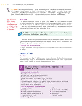 144 UNIT II: OVERVIEW OF THE HUMAN BODY
KEY POINT Two chromosomes (called X and Y) determine gender. Every egg contains an X chromosome
only. Every sperm contains either an X or a Y chromosome. If an egg is fertilized by a sperm containing an
X chromosome, the XX chromosome combination will result in a female fetus. If an egg is fertilized by a
sperm containing a Y chromosome, the XY chromosome combination will result in a male fetus.
Structures
The reproductive system consists of glands called gonads (go’nads) and their associated
structures and ducts. The gonads manufacture and store the gametes and produce hormones
(see the discussion of the endocrine system, above) that regulate the reproductive process.
Structures of the female reproductive system include the ovaries (female gonads), fallopian
(fa-lo’pe-an) tubes, uterus, cervix, vagina, and vulva.
The PAP smear, a procedure used to diagnose cervical cancer, is named after George
Papanicolaou, who developed the technique.
Structures of the male reproductive system include the testes (male gonads), seminal ves-
icles, prostate, epididymis (ep’i-did’i-mis), vas deferens (vas def’er-enz), seminal ducts, ure-
thra, penis, spermatic cords, and scrotum.
Disorders and Diagnostic Tests
Examples of disorders and diagnostic tests associated with the reproductive system are listed
in Box 5-7.
URINARY SYSTEM
Functions
The urinary system (Fig. 5-14) ﬁlters waste products from the blood and eliminates them
from the body. It also plays an important role in the regulation of body ﬂuids. Activities of the
urinary system result in the creation and elimination of urine.
Boost your
ability to iden-
tify reproductive
system structures
by doing Labeling
Exercise 5-12 in the
WORKBOOK.
BOX
5-7
EXAMPLES OF REPRODUCTIVE SYSTEM DISORDERS AND
DIAGNOSTIC TESTS
Reproductive System Disorders
Cervical cancer: cancer of the cervix
Infertility: lower than normal ability to reproduce
Ovarian cancer: cancer of the ovaries
Ovarian cyst: a usually nonmalignant growth in an ovary
Prostate cancer: cancer of the prostate gland
Sexually transmitted diseases (STDs): diseases such as syphilis, gonorrhea, and genital
herpes, which are usually transmitted by sexual contact
Uterine cancer: cancer of the uterus
Tests for Reproductive System Disorders
• Acid phosphatase
• Estrogen
• Follicle stimulating hormone (FSH)
• Human chorionic gonadotropin (HCG)
• Luteinizing hormone (LH)
• Microbiological cultures
• PAP smear
• Prostate-speciﬁc antigen (PSA)
• Rapid plasmin reagin (RPR)
• Testosterone
• Viral tissue studies
 