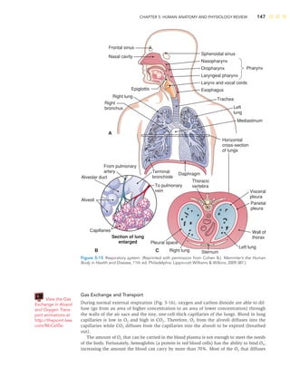 CHAPTER 5: HUMAN ANATOMY AND PHYSIOLOGY REVIEW 147
Gas Exchange and Transport
During normal external respiration (Fig. 5-16), oxygen and carbon dioxide are able to dif-
fuse (go from an area of higher concentration to an area of lower concentration) through
the walls of the air sacs and the tiny, one-cell-thick capillaries of the lungs. Blood in lung
capillaries is low in O2 and high in CO2. Therefore, O2 from the alveoli diffuses into the
capillaries while CO2 diffuses from the capillaries into the alveoli to be expired (breathed
out).
The amount of O2 that can be carried in the blood plasma is not enough to meet the needs
of the body. Fortunately, hemoglobin (a protein in red blood cells) has the ability to bind O2,
increasing the amount the blood can carry by more than 70%. Most of the O2 that diffuses
Frontal sinus
Nasal cavity
Epiglottis
Right lung
Right
bronchus
From pulmonary
artery
Alveolar duct
Alveoli
Capillaries
Section of lung
enlarged Pleural space
Right lung Sternum
Left lung
Wall of
thorax
Parietal
pleura
Visceral
pleura
Thoracic
vertebra
To pulmonary
vein
Diaphragm
Terminal
bronchiole
Mediastinum
Horizontal
cross-section
of lungs
Sphenoidal sinus
Nasopharynx
Oropharynx
Laryngeal pharynx
Larynx and vocal cords
Esophagus
Trachea
Left
lung
Pharynx
A
B C
Figure 5-15 Respiratory system. (Reprinted with permission from Cohen BJ. Memmler’s the Human
Body in Health and Disease, 11th ed. Philadelphia: Lippincott Williams  Wilkins; 2009:387.)
View the Gas
Exchange in Alveoli
and Oxygen Trans-
port animations at
http://thepoint.lww.
com/McCall5e.
 