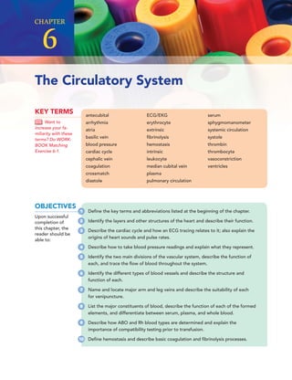 The Circulatory System
CHAPTER
6
antecubital
arrhythmia
atria
basilic vein
blood pressure
cardiac cycle
cephalic vein
coagulation
crossmatch
diastole
ECG/EKG
erythrocyte
extrinsic
ﬁbrinolysis
hemostasis
intrinsic
leukocyte
median cubital vein
plasma
pulmonary circulation
serum
sphygmomanometer
systemic circulation
systole
thrombin
thrombocyte
vasoconstriction
ventricles
KEY TERMS
Want to
increase your fa-
miliarity with these
terms? Do WORK-
BOOK Matching
Exercise 6-1.
OBJECTIVES
Upon successful
completion of
this chapter, the
reader should be
able to:
1 Deﬁne the key terms and abbreviations listed at the beginning of the chapter.
2 Identify the layers and other structures of the heart and describe their function.
3 Describe the cardiac cycle and how an ECG tracing relates to it; also explain the
origins of heart sounds and pulse rates.
4 Describe how to take blood pressure readings and explain what they represent.
5 Identify the two main divisions of the vascular system, describe the function of
each, and trace the ﬂow of blood throughout the system.
6 Identify the different types of blood vessels and describe the structure and
function of each.
7 Name and locate major arm and leg veins and describe the suitability of each
for venipuncture.
8 List the major constituents of blood, describe the function of each of the formed
elements, and differentiate between serum, plasma, and whole blood.
9 Describe how ABO and Rh blood types are determined and explain the
importance of compatibility testing prior to transfusion.
10 Deﬁne hemostasis and describe basic coagulation and ﬁbrinolysis processes.
 