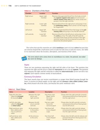 156 UNIT II: OVERVIEW OF THE HUMAN BODY
The valves that exit the ventricles are called semilunar (sem’e-lu’nar) valves because they
are crescent-shaped like a half moon (semi is Latin for half; luna is Latin for moon). See Table
6-3 to read more about the location, description, and function of the valves.
The term mitral valve comes from its resemblance to a miter, the pointed, two-sided
hat worn by bishops.
Septa
There are two partitions separating the right and left sides of the heart. The partition that
separates the right and left atria is called the interatrial (in-ter-a’tre-al) septum. The partition
that separates the right and left ventricles is called the interventricular (in-ter-ven-trik’u-lar)
septum. Each septum consists mostly of myocardium.
Coronary Circulation
The heart muscle does not receive nourishment or oxygen from blood passing through the
heart. It receives its blood supply via the right and left coronary (also called cardiac) arter-
ies, which branch off of the aorta, just beyond the aortic semilunar valve.
TABLE 6-2 Chambers of the Heart
Chamber Location Function
Right atrium Upper right
chamber
Receives deoxygenated blood from the body via both
the superior (upper) vena cava (ve’na ka’va) and
inferior (lower) vena cava (plural, venae cavae) and
pumps it into the right ventricle.
Right ventricle Lower right
chamber
Receives blood from the right atrium and pumps it into
the pulmonary artery, which carries it to the lungs to
be oxygenated.
Left atrium Upper left
chamber
Receives oxygenated blood from the lungs via the pul-
monary veins and pumps it into the left ventricle.
Left ventricle Lower left
chamber
Receives blood from the left atrium and pumps it into
the aorta (a-or’ta). The walls of the left ventricle
are nearly three times as thick as those of the right
ventricle owing to the force required to pump the
blood into the arterial system.
TABLE 6-3 Heart Valves
Valve Location Description Function
Right AV valve (also
called the tricuspid
[tri-kus’pid] valve)
Between the right
atrium and
right ventricle
Has three cusps
(ﬂaps), hence
the name
tricuspid
Closes when the right ventricle contracts
and prevents blood from ﬂowing back
into the right atrium
Left AV valve (also
called the bicuspid
or mitral valve)
Between the left
atrium and left
ventricle
Has two cusps,
hence the
name bicuspid
Closes when the left ventricle contracts
and prevents blood from ﬂowing back
into the left atrium
Right semilunar valve
(also called pulmo-
nary or pulmonic
valve)
At the entrance
to the pulmo-
nary artery
Has three half-
moon–shaped
cusps
Closes when the right ventricle relaxes
and prevents blood from ﬂowing back
into the right ventricle
Left semilunar valve
(also called aortic
valve)
At the entrance
to the aorta
Has three half-
moon–shaped
cusps
Closes when the left ventricle relaxes and
prevents blood from ﬂowing back into
the left ventricle
 