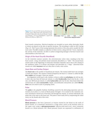 CHAPTER 6: THE CIRCULATORY SYSTEM 159
heart muscle contraction. Electrical impulses are recorded as waves when electrodes (leads
or wires) are placed on the skin at speciﬁc locations. The recording is called an ECG tracing
(Fig. 6-3). The P wave of the tracing represents the activity of the atria and is usually the ﬁrst
wave seen. The QRS complex (a collection of three waves), along with the T wave, represents
the activity of the ventricles. An ECG is useful in diagnosing damage to the heart muscle and
abnormalities in the heart rate.
Origin of the Heart Sounds (Heartbeat)
As the ventricles contract (systole), the atrioventricular valves close, resulting in the ﬁrst
heart sound: a long, low-pitched sound commonly described as a “lubb.” The second heart
sound comes at the beginning of ventricular relaxation (diastole) and is due to the closing of
the semilunar valves. It is shorter and sharper and described as a “dupp.” Abnormal heart
sounds are called murmurs and are often due to faulty valve action.
Heart Rate and Cardiac Output
The heart rate is the number of heartbeats per minute. The normal adult heart rate averages
72 beats per minute. The volume of blood pumped by the heart in 1 minute is called the car-
diac output and averages 5 liters per minute.
An irregularity in the heart’s rate, rhythm, or beat is called an arrhythmia (ah-rith’me-ah).
A slow rate, less than 60 beats per minute, is called bradycardia (brad’e-kar’de-ah). A fast
rate, over 100 beats per minute, is called tachycardia (tak’e-kar’de-ah). Extra beats before the
normal beat are called extrasystoles. Rapid, uncoordinated contractions are called ﬁbrilla-
tions and can result in lack of pumping action.
Pulse
The pulse is the palpable rhythmic throbbing caused by the alternating expansion and con-
traction of an artery as a wave of blood passes through it. It is created as the ventricles con-
tract and blood is forced out of the heart and through the arteries. In normal individuals, the
pulse rate is the same as the heart rate. The pulse is most easily felt by compressing the radial
artery on the thumb side of the wrist.
Blood Pressure
Blood pressure is the force (pressure) or tension exerted by the blood on the walls of
blood vessels. It is commonly measured in a large artery (such as the brachial artery in
the upper arm) using a sphygmomanometer (sﬁg’mo-mah-nom’e-ter), more commonly
known as a blood pressure cuff. Blood pressure results are expressed in millimeters of
time (sec) 0.2 0.4 0.6 0.8
P
T
Q
S
mm
R
Ventricular depolarization
Atrial
depolarization
Ventricular
repolarization
Figure 6-3 A normal ECG tracing showing one
cardiac cycle. (Reprinted with permission from
Cohen BJ. Memmler’s the Human Body in Health
and Disease, 11th ed. Philadelphia: Lippincott
Williams  Wilkins; 2009:315.)
 