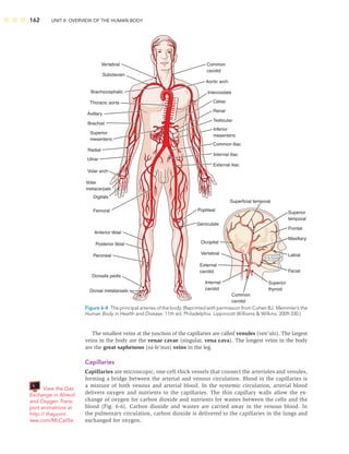 162 UNIT II: OVERVIEW OF THE HUMAN BODY
The smallest veins at the junction of the capillaries are called venules (ven’ulz). The largest
veins in the body are the venae cavae (singular, vena cava). The longest veins in the body
are the great saphenous (sa-fe’nus) veins in the leg.
Capillaries
Capillaries are microscopic, one-cell-thick vessels that connect the arterioles and venules,
forming a bridge between the arterial and venous circulation. Blood in the capillaries is
a mixture of both venous and arterial blood. In the systemic circulation, arterial blood
delivers oxygen and nutrients to the capillaries. The thin capillary walls allow the ex-
change of oxygen for carbon dioxide and nutrients for wastes between the cells and the
blood (Fig. 6-6). Carbon dioxide and wastes are carried away in the venous blood. In
the pulmonary circulation, carbon dioxide is delivered to the capillaries in the lungs and
exchanged for oxygen.
View the Gas
Exchange in Alveoli
and Oxygen Trans-
port animations at
http:// thepoint.
lww.com/McCall5e.
Vertebral
Subclavian
Brachiocephalic
Axillary
Brachial
Radial
Ulnar
Volar arch
Digitals
Femoral
Anterior tibial
Posterior tibial
Peroneal
Dorsalis pedis
Dorsal metatarsals
Superficial temporal
Superior
temporal
Frontal
Maxillary
Labial
Facial
Superior
thyroid
Common
carotid
Internal
carotid
External
carotid
Vertebral
Occipital
Volar
metacarpals
Superior
mesenteric
Thoracic aorta
Common
carotid
Aortic arch
Intercostals
External iliac
Popliteal
Geniculate
Celiac
Renal
Testicular
Common iliac
Internal iliac
Inferior
mesenteric
Figure 6-4 The principal arteries of the body. (Reprinted with permission from Cohen BJ. Memmler’s the
Human Body in Health and Disease, 11th ed. Philadelphia: Lippincott Williams  Wilkins; 2009:330.)
 