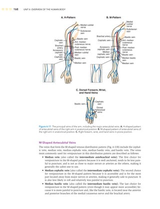168 UNIT II: OVERVIEW OF THE HUMAN BODY
M-Shaped Antecubital Veins
The veins that form the M-shaped venous distribution pattern (Fig. 6-11B) include the cephal-
ic vein, median vein, median cephalic vein, median basilic vein, and basilic vein. The veins
most commonly used for venipuncture in this distribution pattern are described as follows:
• Median vein (also called the intermediate antebrachial vein): The ﬁrst choice for
venipuncture in the M-shaped pattern because it is well anchored, tends to be less pain-
ful to puncture, and is not as close to major nerves or arteries as the others, making it
generally the safest one to use.
• Median cephalic vein (also called the intermediate cephalic vein): The second choice
for venipuncture in the M-shaped pattern because it is accessible and is for the most
part located away from major nerves or arteries, making it generally safe to puncture. It
is also less likely to roll and relatively less painful to puncture.
• Median basilic vein (also called the intermediate basilic vein): The last choice for
venipuncture in the M-shaped pattern (even though it may appear more accessible) be-
cause it is more painful to puncture and, like the basilic vein, is located near the anterior
and posterior branches of the medial cutaneous nerve and the brachial artery.
Basilic vein
Ant. median
cutaneous nerve
Post. median
cutaneous nerve
Brachial
artery
Cephalic
vein
Cephalic
vein
Accessory
cephalic
vein
Median cubital
vein
Medial cubital
nerve
A. H-Pattern B. M-Pattern
Dorsal Forearm, Wrist,
and Hand Veins
C.
Subclavian
vein
Basilic vein
Median vein
Brachial artery
Cephalic vein
Cephalic vein
Accessory
cephalic vein
Median
cephalic vein
Basilic vein
Ant. median
cutaneous
nerve
Post. median
cutaneous
nerve
Medial
cubital
nerve
Subclavian
vein
Basilic vein
Median basilic
vein
Median vein
Cephalic
vein
Basilic vein
Dorsal
metacarpal
veins
Figure 6-11 The principal veins of the arm, including the major antecubital veins. A. H-shaped pattern
of antecubital veins of the right arm in anatomical position. B. M-shaped pattern of antecubital veins of
the right arm in anatomical position. C. Right forearm, wrist, and hand veins in prone position.
 