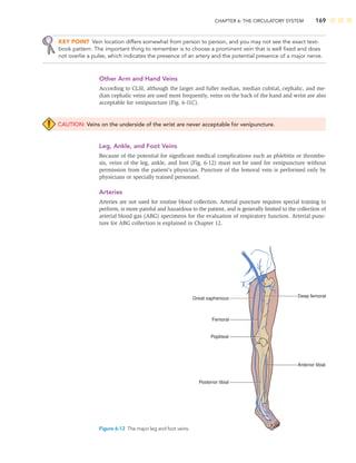 CHAPTER 6: THE CIRCULATORY SYSTEM 169
KEY POINT Vein location differs somewhat from person to person, and you may not see the exact text-
book pattern. The important thing to remember is to choose a prominent vein that is well ﬁxed and does
not overlie a pulse, which indicates the presence of an artery and the potential presence of a major nerve.
Other Arm and Hand Veins
According to CLSI, although the larger and fuller median, median cubital, cephalic, and me-
dian cephalic veins are used most frequently, veins on the back of the hand and wrist are also
acceptable for venipuncture (Fig. 6-11C).
CAUTION: Veins on the underside of the wrist are never acceptable for venipuncture.
Leg, Ankle, and Foot Veins
Because of the potential for signiﬁcant medical complications such as phlebitis or thrombo-
sis, veins of the leg, ankle, and foot (Fig. 6-12) must not be used for venipuncture without
permission from the patient’s physician. Puncture of the femoral vein is performed only by
physicians or specially trained personnel.
Arteries
Arteries are not used for routine blood collection. Arterial puncture requires special training to
perform, is more painful and hazardous to the patient, and is generally limited to the collection of
arterial blood gas (ABG) specimens for the evaluation of respiratory function. Arterial punc-
ture for ABG collection is explained in Chapter 12.
Great saphenous
Femoral
Popliteal
Posterior tibial
Anterior tibial
Deep femoral
Figure 6-12 The major leg and foot veins.
 