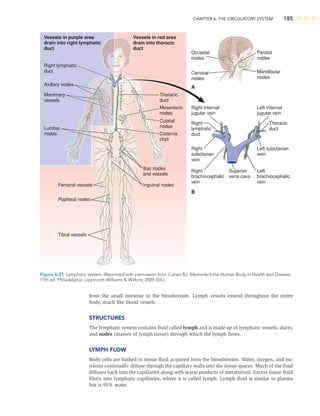 CHAPTER 6: THE CIRCULATORY SYSTEM 185
from the small intestine to the bloodstream. Lymph vessels extend throughout the entire
body, much like blood vessels.
STRUCTURES
The lymphatic system contains ﬂuid called lymph and is made up of lymphatic vessels, ducts,
and nodes (masses of lymph tissue) through which the lymph ﬂows.
LYMPH FLOW
Body cells are bathed in tissue ﬂuid acquired from the bloodstream. Water, oxygen, and nu-
trients continually diffuse through the capillary walls into the tissue spaces. Much of the ﬂuid
diffuses back into the capillaries along with waste products of metabolism. Excess tissue ﬂuid
ﬁlters into lymphatic capillaries, where it is called lymph. Lymph ﬂuid is similar to plasma
but is 95% water.
Left subclavian
vein
Left internal
jugular vein
Thoracic
duct
Mesenteric
nodes
Cubital
nodes
Cisterna
chyli
Iliac nodes
and vessels
Inguinal nodes
Lumbar
nodes
Mammary
vessels
Axillary nodes
Right
subclavian
vein
Right
lymphatic
duct
Thoracic
duct
Right
brachiocephalic
vein
Left
brachiocephalic
vein
Superior
vena cava
Right internal
jugular vein
Right lymphatic
duct
Tibial vessels
Popliteal nodes
Femoral vessels
Vessels in purple area
drain into right lymphatic
duct
Vessels in red area
drain into thoracic
duct
Occipital
nodes
Cervical
nodes
Mandibular
nodes
Parotid
nodes
A
B
Figure 6-21 Lymphatic system. (Reprinted with permission from Cohen BJ. Memmler’s the Human Body in Health and Disease,
11th ed. Philadelphia: Lippincott Williams  Wilkins; 2009:354.)
 