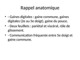 Rappel anatomique
• - Gaines digitales : gaine commune, gaines
digitales (2e au 5e doigt), gaine du pouce.
• - Deux feuillets : pariétal et viscéral, rôle de
glissement.
• - Communication fréquente entre 5e doigt et
gaine commune.
 