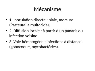 Mécanisme
• 1. Inoculation directe : plaie, morsure
(Pasteurella multocida).
• 2. Diffusion locale : à partir d’un panaris ou
infection voisine.
• 3. Voie hématogène : infections à distance
(gonocoque, mycobactéries).
 