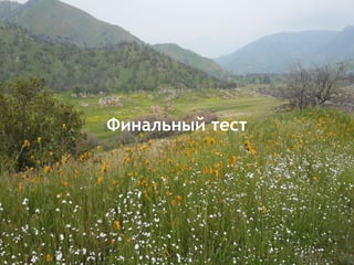 Финальный тест
 