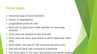 Sieve tubes
 Advanced type of sieve element
 Occurs in angiosperms
 Longitudinal series of cells
 Each cell is called sieve tube member or sieve tube
element
 Sieve area are located on the end wall
 Sieve area are more specialized in sieve tubes than sieve
cells
 Sieve plate: the part of cell wall bearing sieve area
 End wall of sieve tube inclined to transverse
 The sieve plate is the more specialised area found usually
 