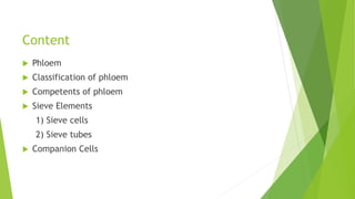 Content
 Phloem
 Classification of phloem
 Competents of phloem
 Sieve Elements
1) Sieve cells
2) Sieve tubes
 Companion Cells
 
