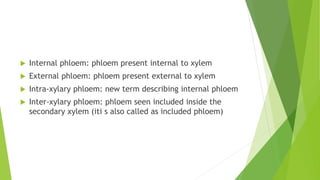  Internal phloem: phloem present internal to xylem
 External phloem: phloem present external to xylem
 Intra-xylary phloem: new term describing internal phloem
 Inter-xylary phloem: phloem seen included inside the
secondary xylem (iti s also called as included phloem)
 