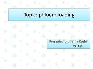 Topic: phloem loading
Presented by: Nasira Bashir
roll# 01
 