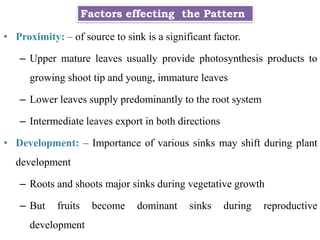 Factors effecting the Pattern
• Proximity: – of source to sink is a significant factor.
– Upper mature leaves usually provide photosynthesis products to
growing shoot tip and young, immature leaves
– Lower leaves supply predominantly to the root system
– Intermediate leaves export in both directions
• Development: – Importance of various sinks may shift during plant
development
– Roots and shoots major sinks during vegetative growth
– But fruits become dominant sinks during reproductive
development
 