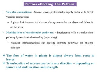 Factors effecting the Pattern
• Vascular connections: –Source leaves preferentially supply sinks with direct
vascular connections
– A given leaf is connected via vascular system to leaves above and below it
on the stem
• Modifications of translocation pathways: - Interference with a translocation
pathway by mechanical wounding (or pruning)
– vascular interconnections can provide alternate pathways for phloem
transport
 The flow of water in plants is almost always from roots to
leaves.
 Translocation of sucrose can be in any direction – depending on
source and sink location and strength.
 