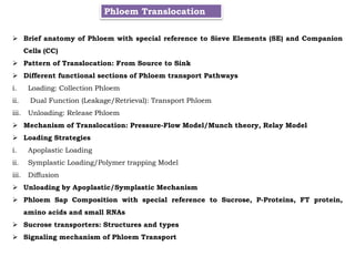  Brief anatomy of Phloem with special reference to Sieve Elements (SE) and Companion
Cells (CC)
 Pattern of Translocation: From Source to Sink
 Different functional sections of Phloem transport Pathways
i. Loading: Collection Phloem
ii. Dual Function (Leakage/Retrieval): Transport Phloem
iii. Unloading: Release Phloem
 Mechanism of Translocation: Pressure-Flow Model/Munch theory, Relay Model
 Loading Strategies
i. Apoplastic Loading
ii. Symplastic Loading/Polymer trapping Model
iii. Diffusion
 Unloading by Apoplastic/Symplastic Mechanism
 Phloem Sap Composition with special reference to Sucrose, P-Proteins, FT protein,
amino acids and small RNAs
 Sucrose transporters: Structures and types
 Signaling mechanism of Phloem Transport
Phloem Translocation
 