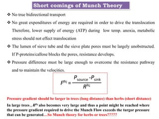 Short comings of Munch Theory
 No true bidirectional transport
 No great expenditures of energy are required in order to drive the translocation
Therefore, lower supply of energy (ATP) during low temp. anoxia, metabolic
stress should not effect translocation
 The lumen of sieve tube and the sieve plate pores must be largely unobstructed.
If P-proteins/callose blocks the pores, resistance develops.
 Pressure difference must be large enough to overcome the resistance pathway
and to maintain the velocities.
FPc =
Psource -Psink
RPc
Pressure gradient should be larger in trees (long distance) than herbs (short distance)
In large trees , RPc also becomes very large and thus a point might be reached where
the pressure gradient required to drive the Munch Flow exceeds the turgor pressure
that can be generated…So Munch theory for herbs or trees?????
 