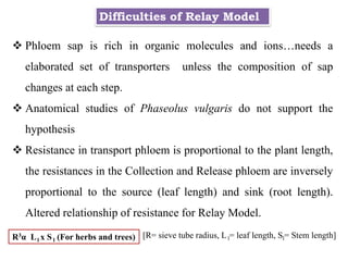  Phloem sap is rich in organic molecules and ions…needs a
elaborated set of transporters unless the composition of sap
changes at each step.
 Anatomical studies of Phaseolus vulgaris do not support the
hypothesis
 Resistance in transport phloem is proportional to the plant length,
the resistances in the Collection and Release phloem are inversely
proportional to the source (leaf length) and sink (root length).
Altered relationship of resistance for Relay Model.
Difficulties of Relay Model
R3α Ll x S l (For herbs and trees) [R= sieve tube radius, Ll= leaf length, Sl= Stem length]
 