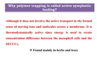 Why polymer trapping is called active symplastic
loading?
Although it does not involve the active transport in the formal
sense of moving ions and molecules across a membrane. It is
thermodynamically active since energy is used to create
concentration difference between the mesophyll cells and the
SECCCs.
 Found mainly in herbs and trees
 