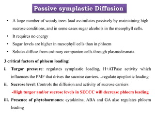 Passive symplastic Diffusion
• A large number of woody trees load assimilates passively by maintaining high
sucrose conditions, and in some cases sugar alcohols in the mesophyll cells.
• It requires no energy
• Sugar levels are higher in mesophyll cells than in phloem
• Solutes diffuse from ordinary companion cells through plasmodesmata.
3 critical factors of phloem loading:
i. Turgor pressure: regulates symplastic loading, H+ATPase activity which
influences the PMF that drives the sucrose carriers…regulate apoplastic loading
ii. Sucrose level: Controls the diffusion and activity of sucrose carriers
-High turgor and/or sucrose levels in SECCC will decrease phloem loading
iii. Presence of phytohormones: cytokinins, ABA and GA also regulates phloem
loading
 
