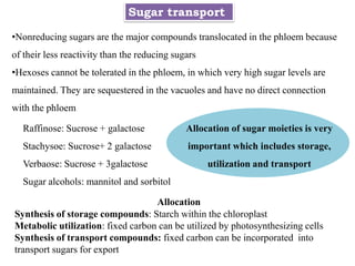 Sugar transport
•Nonreducing sugars are the major compounds translocated in the phloem because
of their less reactivity than the reducing sugars
•Hexoses cannot be tolerated in the phloem, in which very high sugar levels are
maintained. They are sequestered in the vacuoles and have no direct connection
with the phloem
Raffinose: Sucrose + galactose
Stachysoe: Sucrose+ 2 galactose
Verbaose: Sucrose + 3galactose
Sugar alcohols: mannitol and sorbitol
Allocation of sugar moieties is very
important which includes storage,
utilization and transport
Allocation
Synthesis of storage compounds: Starch within the chloroplast
Metabolic utilization: fixed carbon can be utilized by photosynthesizing cells
Synthesis of transport compounds: fixed carbon can be incorporated into
transport sugars for export
 